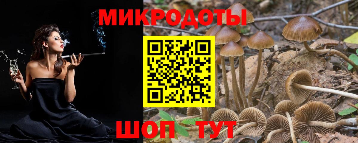 Псилоцибиновые грибы ЛСД Моршанск