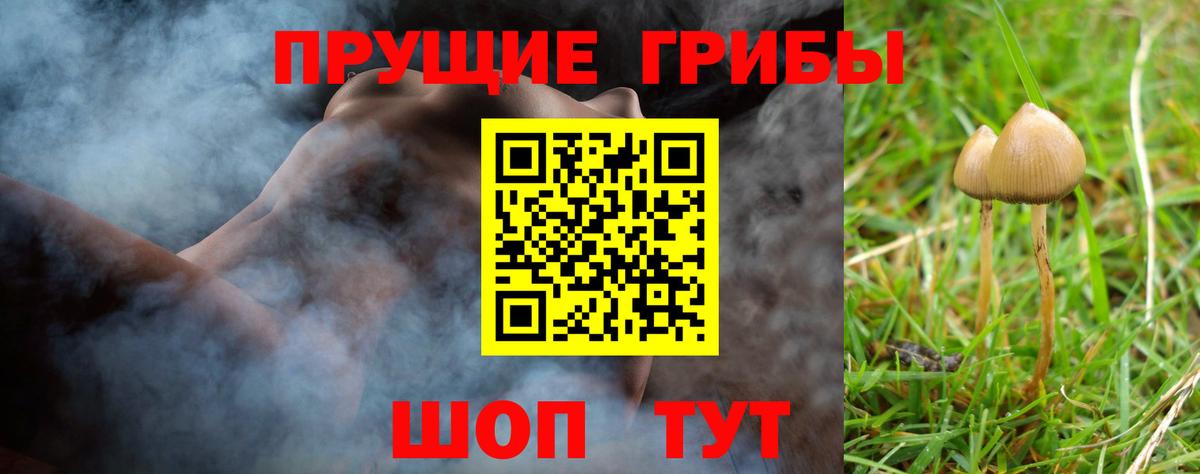 Моршанск  Галлюциногенные грибы ЛСД  Вход с VPN  Псилоцибиновые грибы мицелий 